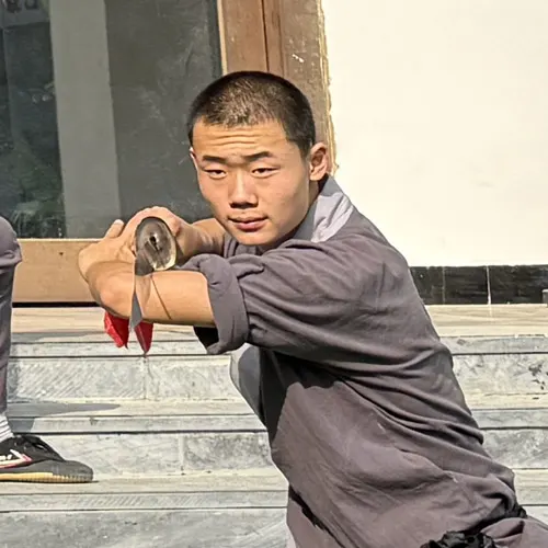 团队成员