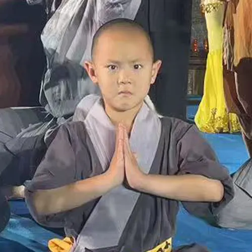 团队成员