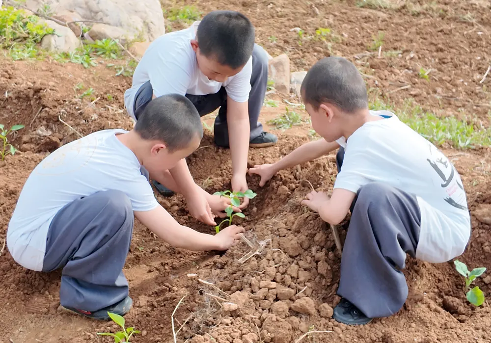 少林中武学生体验种菜